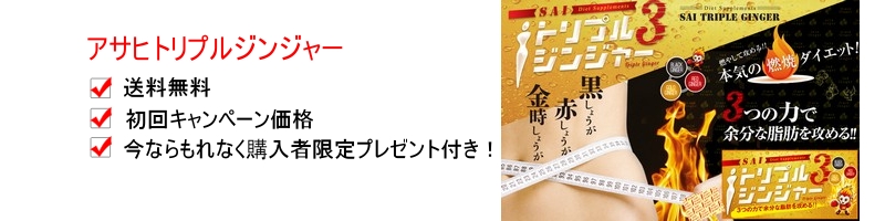 SAI�g���v���W���W���[���T�C�g